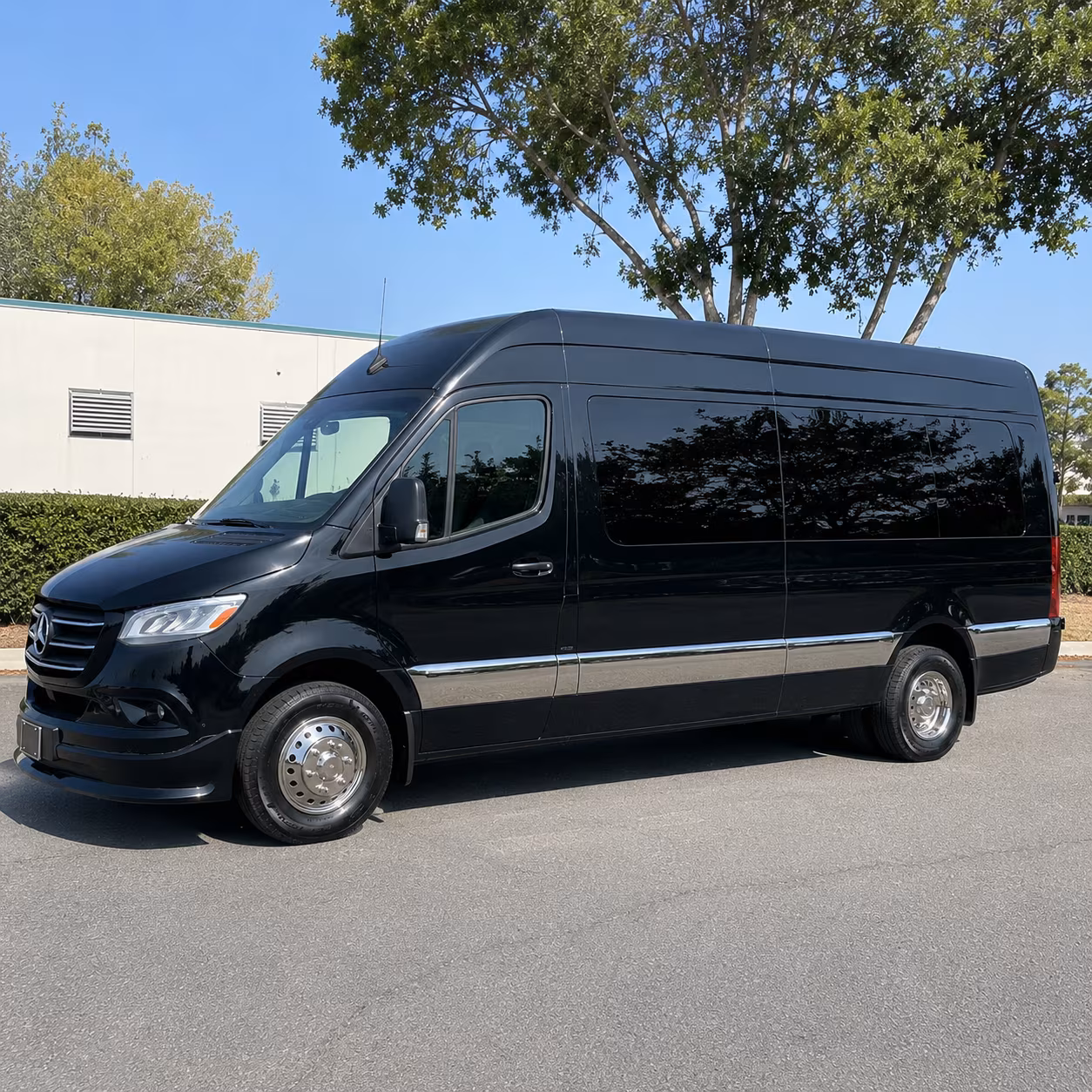 sprinter vans and small buses for intimate bethlehem weddings